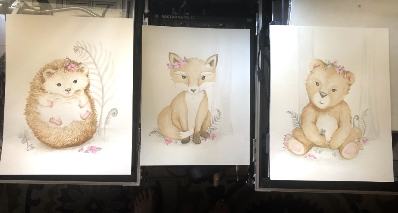 IMG_6062-preview Large